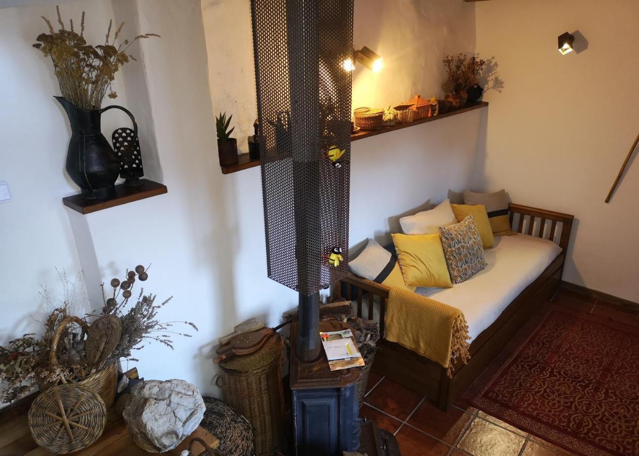 Toca Do Esquilo - Montesinho Villa Montezinho Ngoại thất bức ảnh